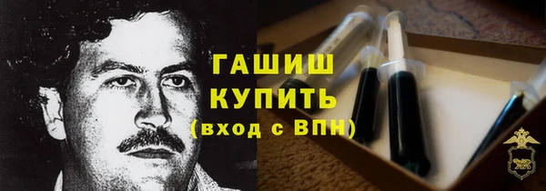 гашик Бородино