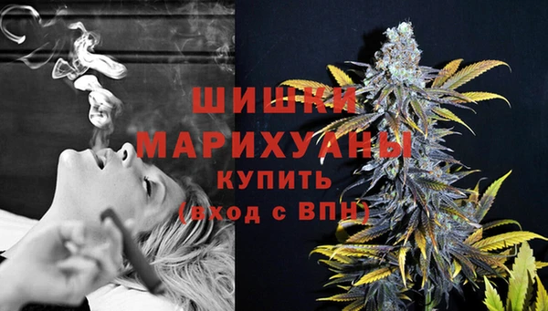 крисы Бугульма
