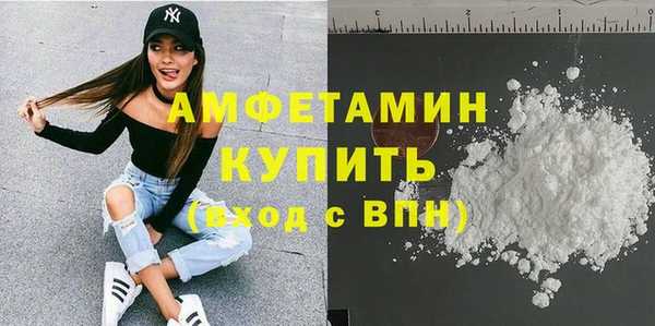 гашик Бородино