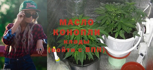 крисы Бугульма